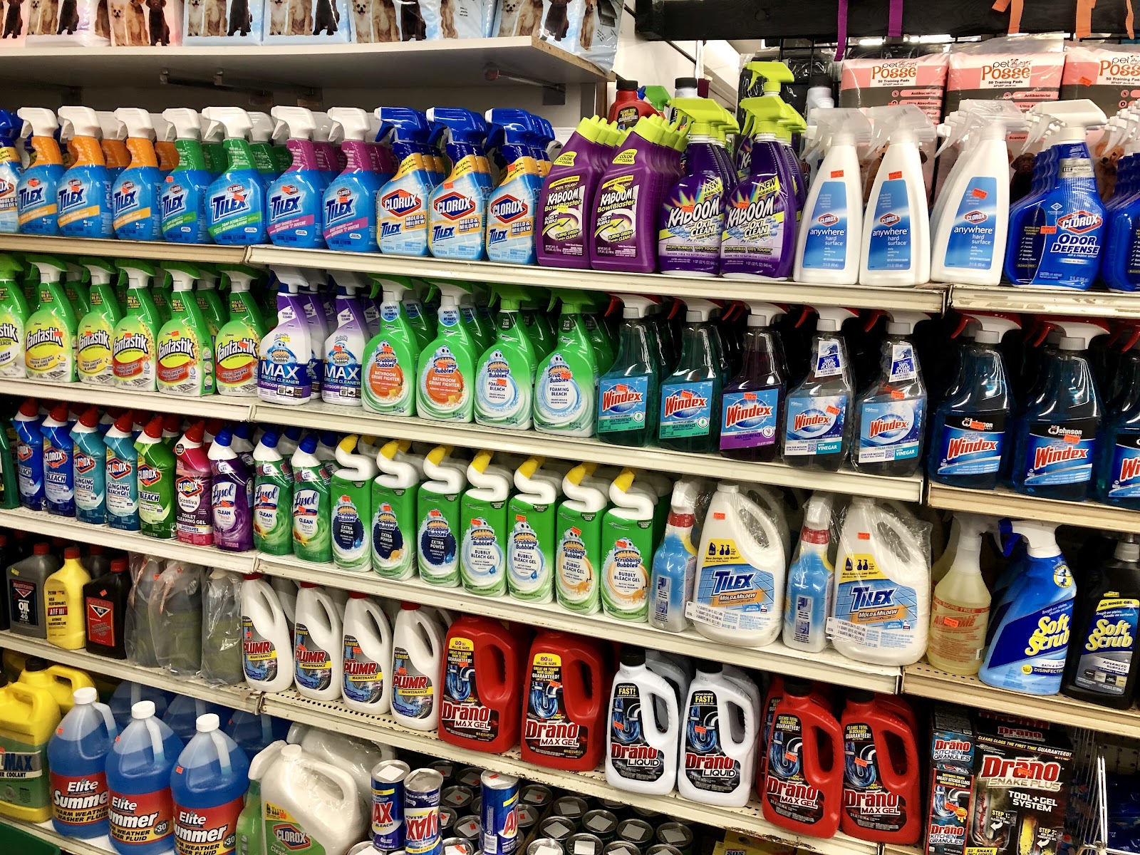Cleaning supplies and laundry detergent shelves at Peoples Department Store